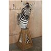 Image 1 : ZEBRA Pedestal Mount with ZEBRA Hide Panels