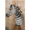 Image 4 : ZEBRA Pedestal Mount with ZEBRA Hide Panels