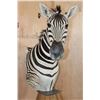 Image 7 : ZEBRA Pedestal Mount with ZEBRA Hide Panels