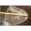 Image 3 : XL Polished STROMATOLITE Decorative Bowl, Weight: 8 lbs