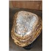 Image 5 : XL Polished STROMATOLITE Decorative Bowl, Weight: 8 lbs