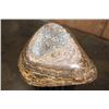 Image 6 : XL Polished STROMATOLITE Decorative Bowl, Weight: 8 lbs