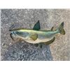 Image 1 : *New* Reproduction CATFISH Mount
