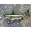 Image 5 : *New* Reproduction CATFISH Mount