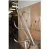 Image 11 : B&C Trophy Colorado Elk 347-1/2 Score Shoulder Mount