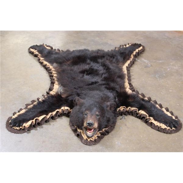 Double-Felted BLACK BEAR Rug with its Mounted Head and All its Claws
