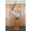 Image 7 : XXL GEMSBOK Pedestal Mount