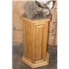 Image 9 : XXL GEMSBOK Pedestal Mount