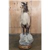 Image 3 : Life-sized TAHR on a Rocky Base with Wheels