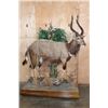 Image 2 : Big Life-sized NYALA on a Decorative Base with Wheels