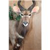 Image 4 : Big Life-sized NYALA on a Decorative Base with Wheels
