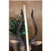 Image 5 : Big Life-sized NYALA on a Decorative Base with Wheels