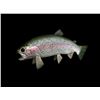 Image 1 : *New in Box* Reproduction RAINBOW TROUT Fish Mount