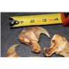 Image 2 : *TEXAS RESIDENTS ONLY* (9) African LION Claws including 2 Big Dew Claws