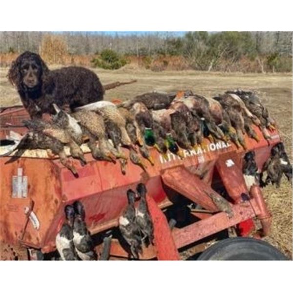 North Carolina and South Carolina Combo Duck Hunt 2 People, 2 Days Donated by Chris Hawkins