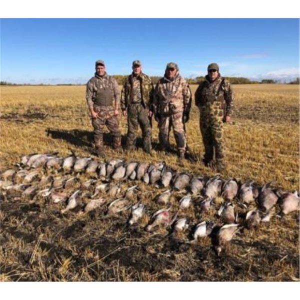 Saskatchewan Duck and Goose Hunt - 2 People, 3 Days Donated by Duck Creek Outfitters – Syke