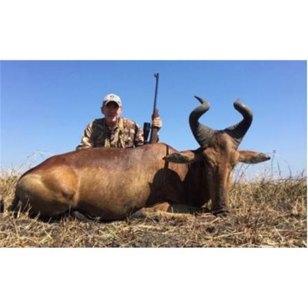 South African Plains Game Hunt 4 People, 5 Days Donated by Wild Wildebeast Safari: Tony du Bruyn Out