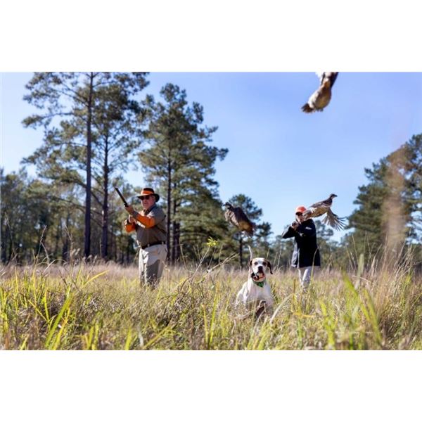 Brays Island Plantation Quail, Chukar, Hungarian Partridge and Pheasant Hunt - 2 People, 1/2 Day Don