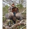 Image 1 : Okatie Plantation Parent/Child Turkey Hunt