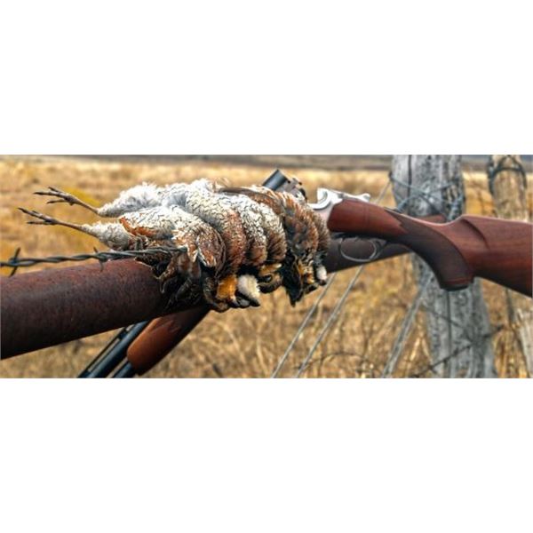 Whispering Pines Plantation Quail Hunt - 2 People, 1 Day Donated by Johnny Evans