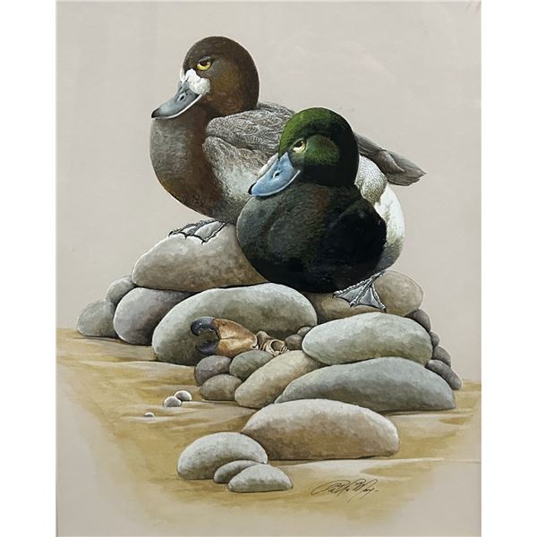 Greater Scaup Pair Original Painting by Art LaMay Donated by Art and Bonnie LaMay