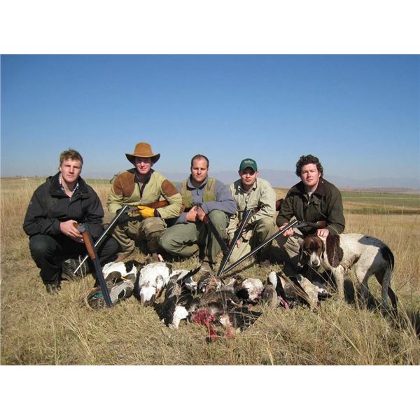 South African Combo Bird and Plains Game Safari - 2 People, 7 Days Donated by Wild Wing Safaris, Way