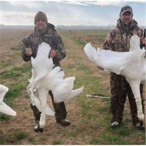 Swan and Snow Goose Hunt - Englehard, North Carolina  5 People, ½ Day. Donated by Killum Guide Servi