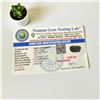 Image 5 : 1.3 inch Moldavite 5.840 gms