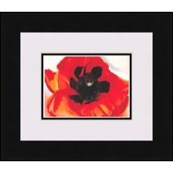 "Poppy" Georgia O'Keeffe