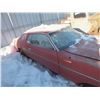 Image 3 : 1970s Mustang