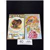 Image 1 : 2 Thanksgiving Early 1900s Postcards Great Graphics