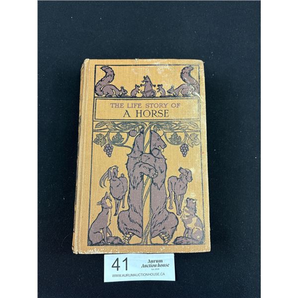 1926 Book The Life Story of A Horse By Jennison