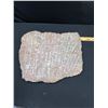 Image 5 : Heavy 17" wide Orthaceras and Ammonite Fossils on a Matrix Plate