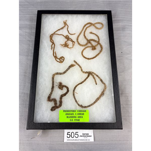 Museum Case of Prehistoric Cordage Anasazi C.100AD Blanding Area S.E. Utah