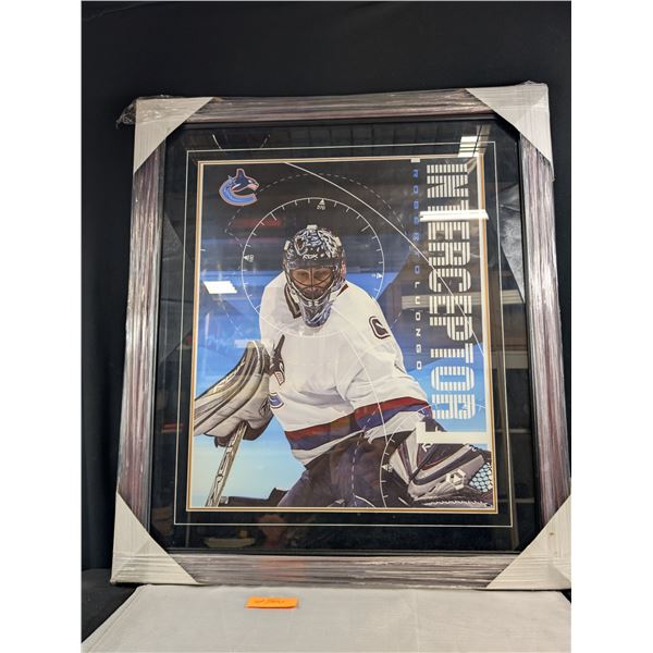 Professionally Framed 29"x34" Roberto Luongo Vancouver Canucks Poster
