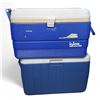 Image 1 : Lot of 2 Coolers (Igloo and Coleman0
