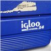 Image 2 : Lot of 2 Coolers (Igloo and Coleman0