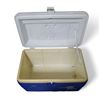 Image 4 : Lot of 2 Coolers (Igloo and Coleman0
