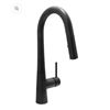 Image 1 : BNIB Huntington Brass Pull Down Kitchen Faucet Matte Black K4802149-J
