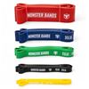 Image 1 : Large Group of Iron Bull Workout Bands