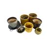 Image 1 : Group of 6 Garden Plant Pottery Pots - includes set of two 1ft Golden Indoor Pot/Malaysia beetroot 1