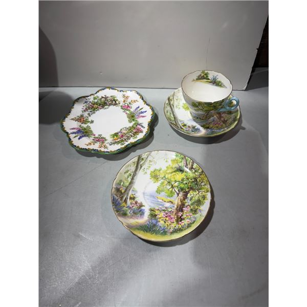 Shelly dishes