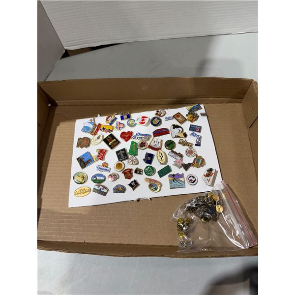 Pins and brooches from Alberta