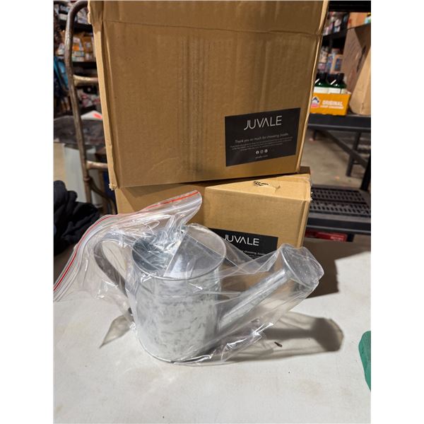 Decorative watering cans  (2)
