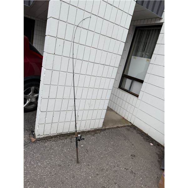 Berkeley, fishing rod and reel