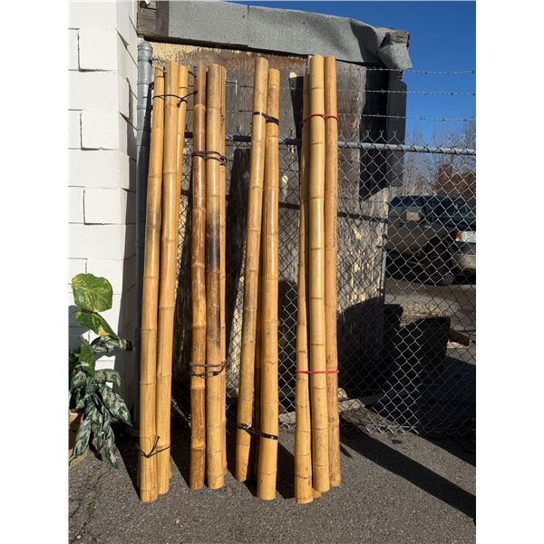 Bamboo