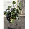Image 1 : Artificial plant