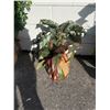 Image 1 : Artificial plant