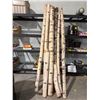 Image 1 : Birch wood