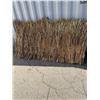 Image 4 : Lattice with privacy grass